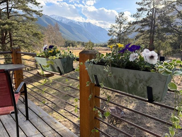 16602 County Road 289, Nathrop, CO 81236