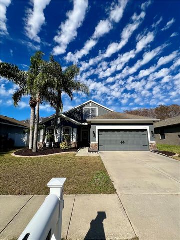 13548 OLD FLORIDA CIRCLE, Hudson, FL 34669