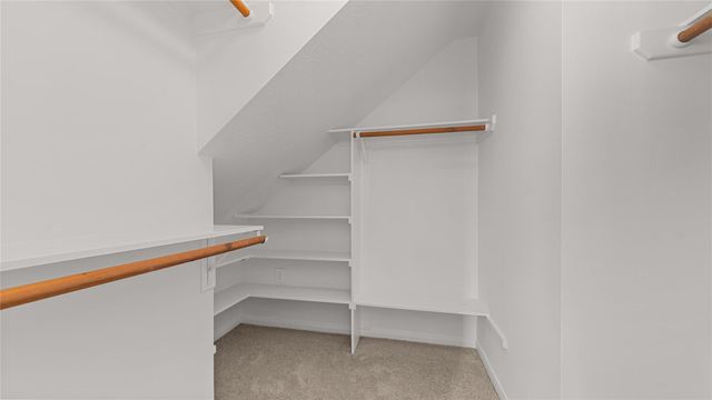 25510 Cedar Springs Place, Spring, TX 77373