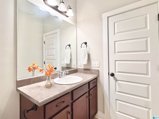 6471 CHESHIRE COVE DRIVE, Mccalla, AL 35111