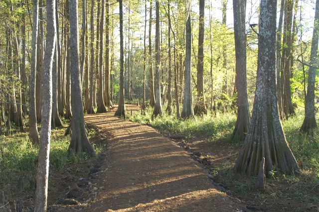 63 N Smith Loop Loop, Cleveland, TX 77327