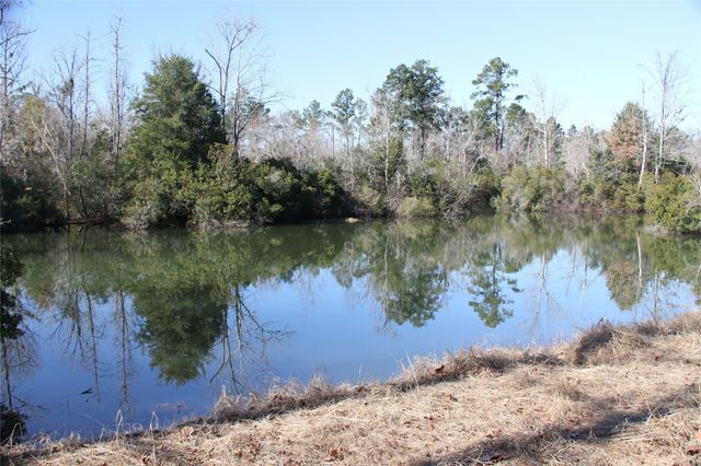 63 N Smith Loop Loop, Cleveland, TX 77327