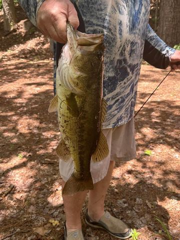 63 N Smith Loop Loop, Cleveland, TX 77327