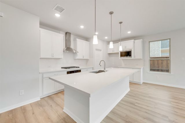 157 Hatherley Street, Little Elm, TX 75068