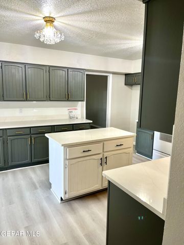 11676 Andrienne Drive, El Paso, TX 79936