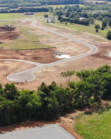 3113 Stonehorn Dr, Bell Buckle, TN 37020