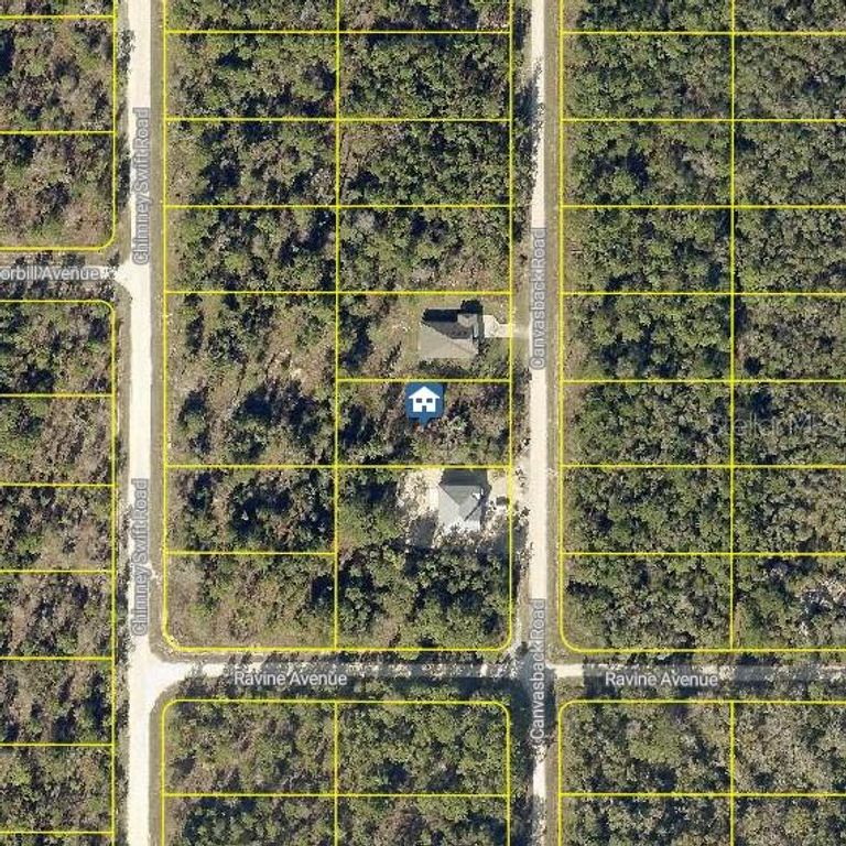 LOT 16 CANVASBACK ROAD, Weeki Wachee, FL 34614