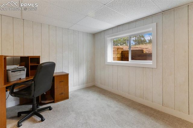 2061 Spruce Road, Woodland Park, CO 80863