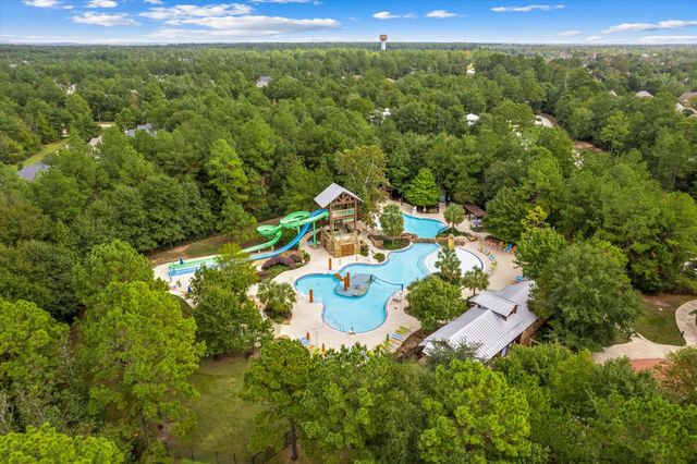 107 Eryngo Park Court, Montgomery, TX 77316