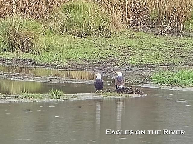 3362 Kress Lane, Potosi, WI 53820