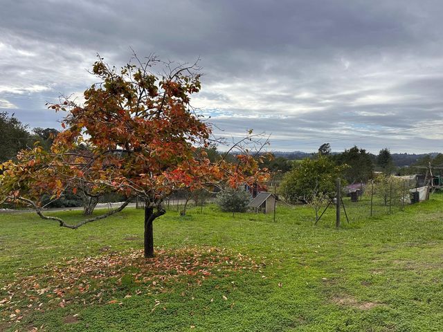 46 Valley View Road, Watsonville, CA 95076