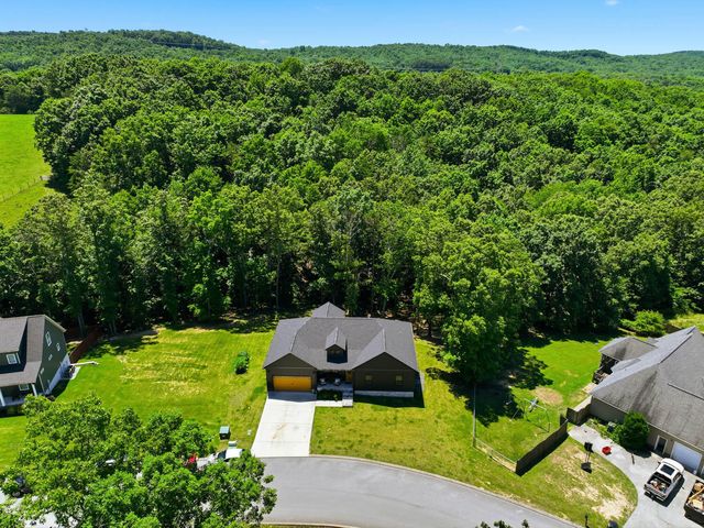 12116 Bull Run, Birchwood, TN 37308