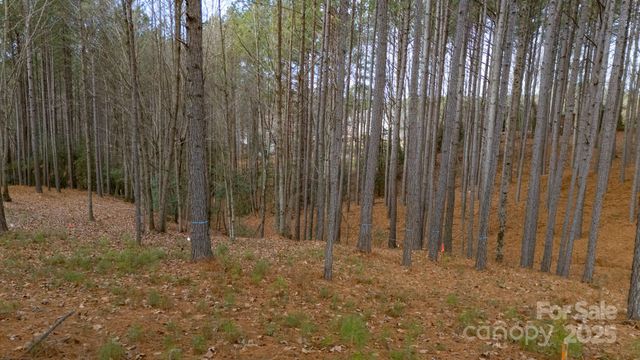 340 Gardner Point Drive, Stony Point, NC 28678