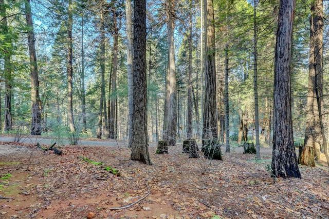 12593 Red Dog Rd, Nevada City, CA 95959