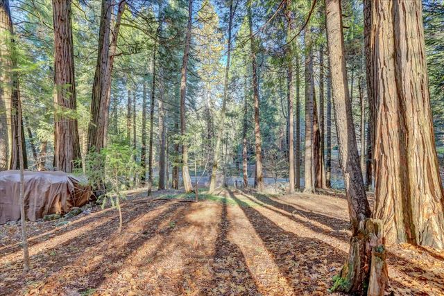 12593 Red Dog Rd, Nevada City, CA 95959