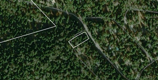 12593 Red Dog Rd, Nevada City, CA 95959