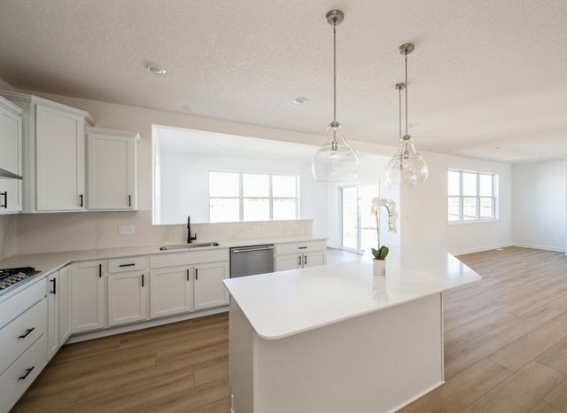 19983 Gadston Lane, Lakeville, MN 55044