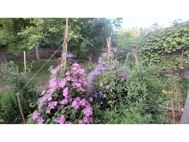 4641 Dixon Dr, Westminster, CO 80031