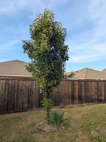 125 Meadow Crest Drive, Princeton, TX 75407