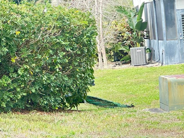 7729 Forest Green Lane, Boynton Beach, FL 33436