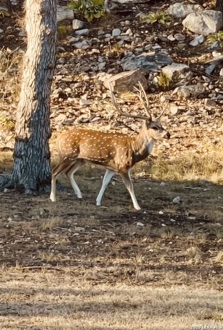 196 Rock Bottom, Hunt, TX 78024