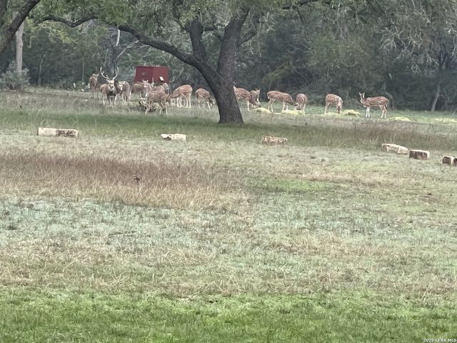 196 Rock Bottom, Hunt, TX 78024