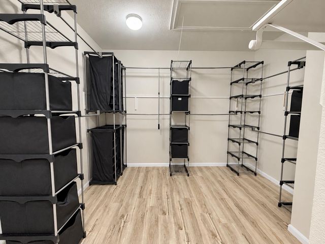 3502 Pentland Downs Street, Pearland, TX 77584