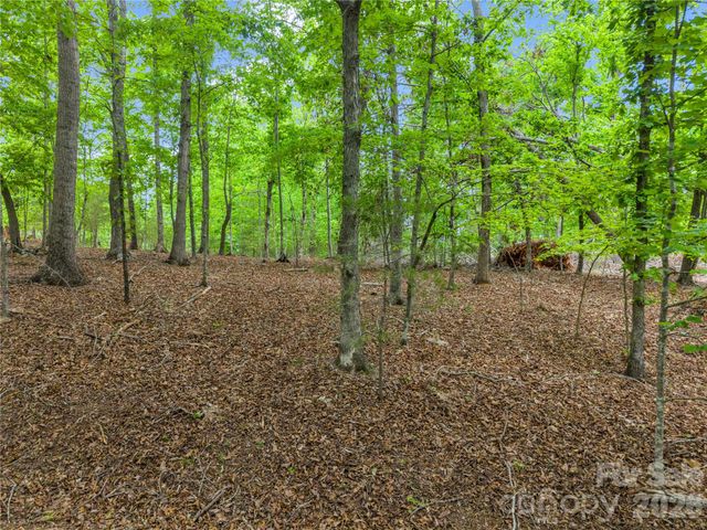 0 Wilderness Ridge, Rutherfordton, NC 28139