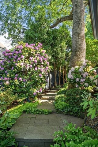 20 Enfield Street, Boston, MA 02130