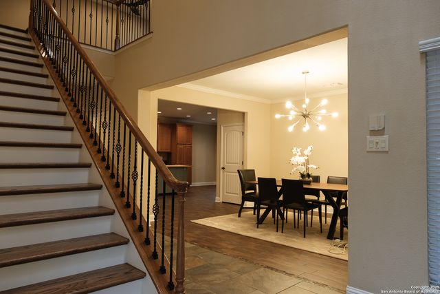 23 Jackson, San Antonio, TX 78230