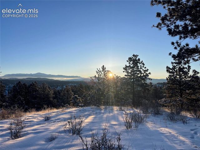 000 Twinkle Road, Guffey, CO 80820