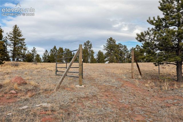 000 Twinkle Road, Guffey, CO 80820