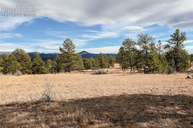 000 Twinkle Road, Guffey, CO 80820