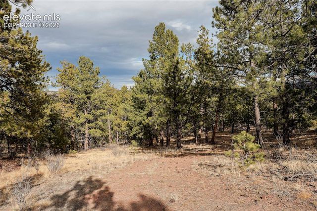 000 Twinkle Road, Guffey, CO 80820