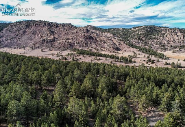 000 Twinkle Road, Guffey, CO 80820