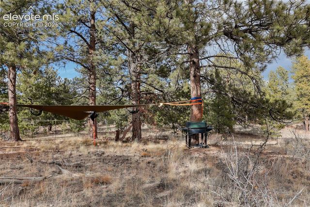 000 Twinkle Road, Guffey, CO 80820