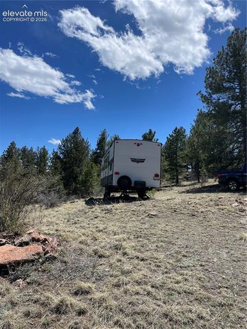 000 Twinkle Road, Guffey, CO 80820