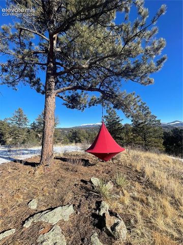 000 Twinkle Road, Guffey, CO 80820