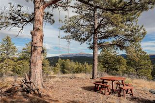 000 Twinkle Road, Guffey, CO 80820
