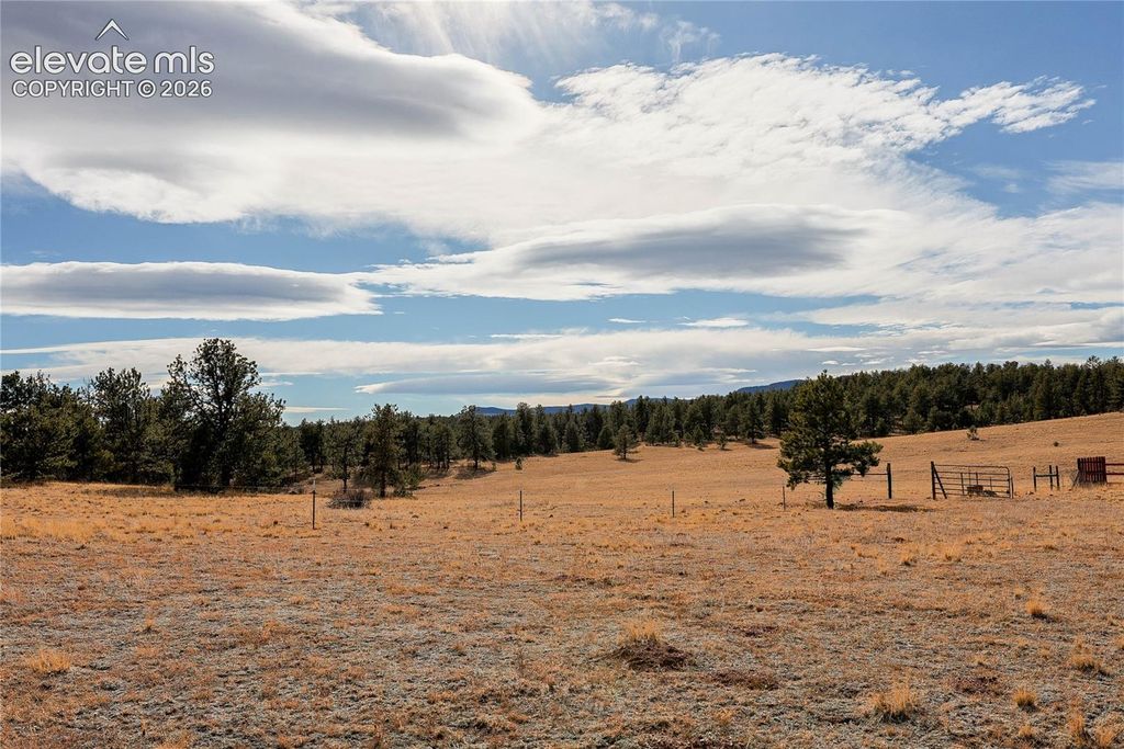 000 Twinkle Road, Guffey, CO 80820 — photo 2