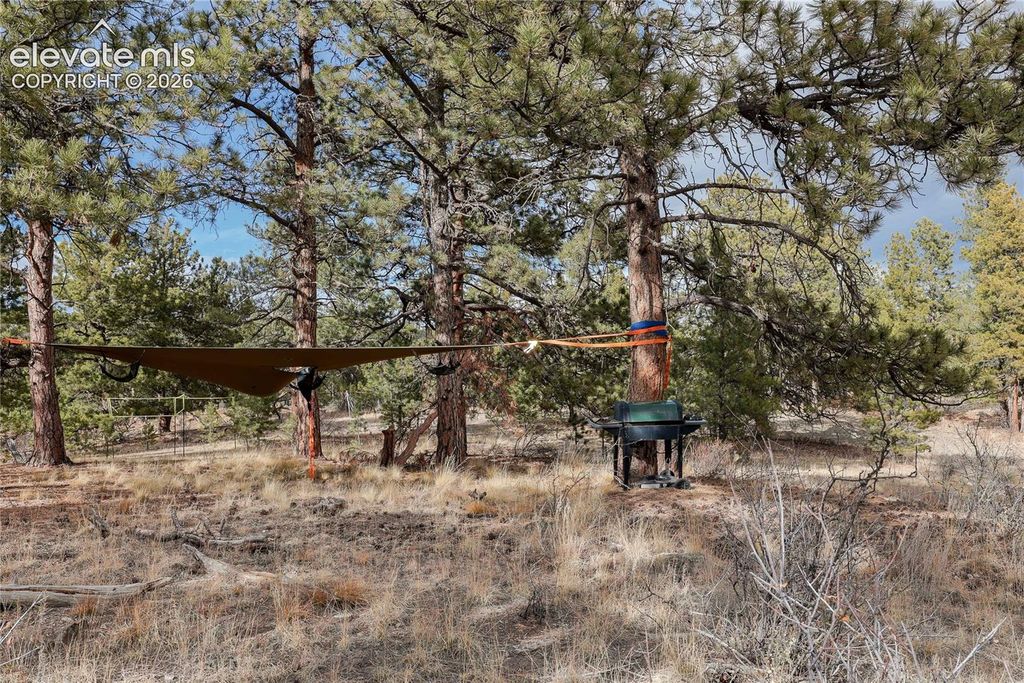000 Twinkle Road, Guffey, CO 80820 — photo 4