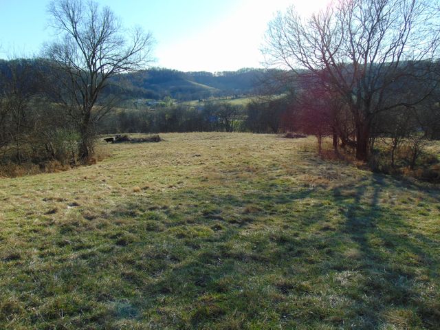 3547 Coffey Branch Rd, Cornersville, TN 37047