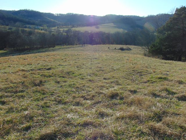 3547 Coffey Branch Rd, Cornersville, TN 37047