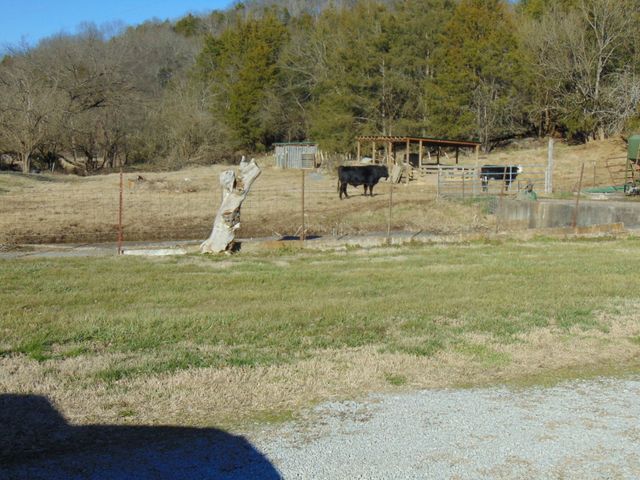 3547 Coffey Branch Rd, Cornersville, TN 37047