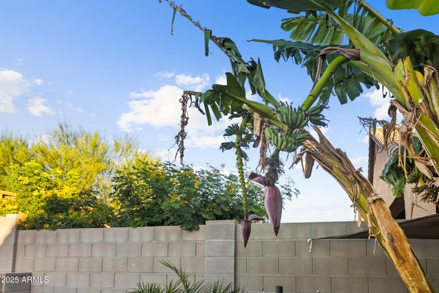 10762 W BRONCO Trail, Peoria, AZ 85383