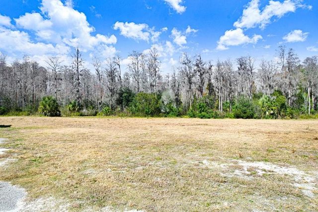 17308 TOBACCO ROAD, Lutz, FL 33558