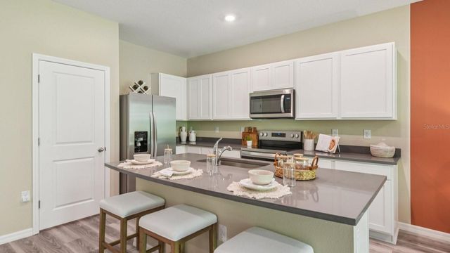 17318 SPANISH OAK LOOP, Land O Lakes, FL 34638
