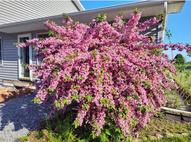 94 White Springs Lane, Geneva Town, NY 14456