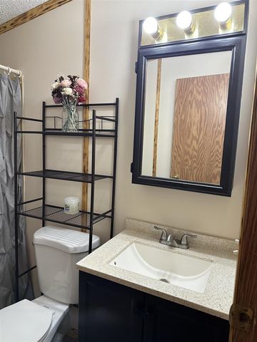 9767 S Rebecca Road, Baldwin, MI 49304