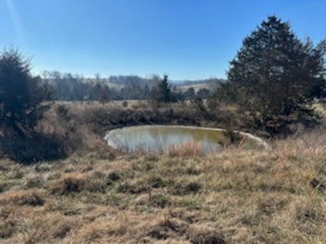 9789 Old Olvey Road, Harrison, AR 72601